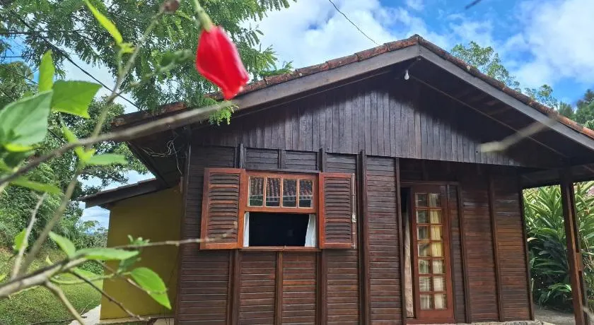 Cabana Family - Na Mata Atlântica - Image 1