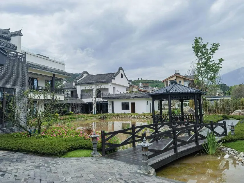 Yunli Luming - Image 1