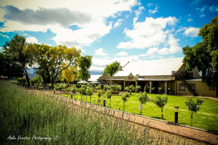 Surval Boutique Olive Estate - Image 1