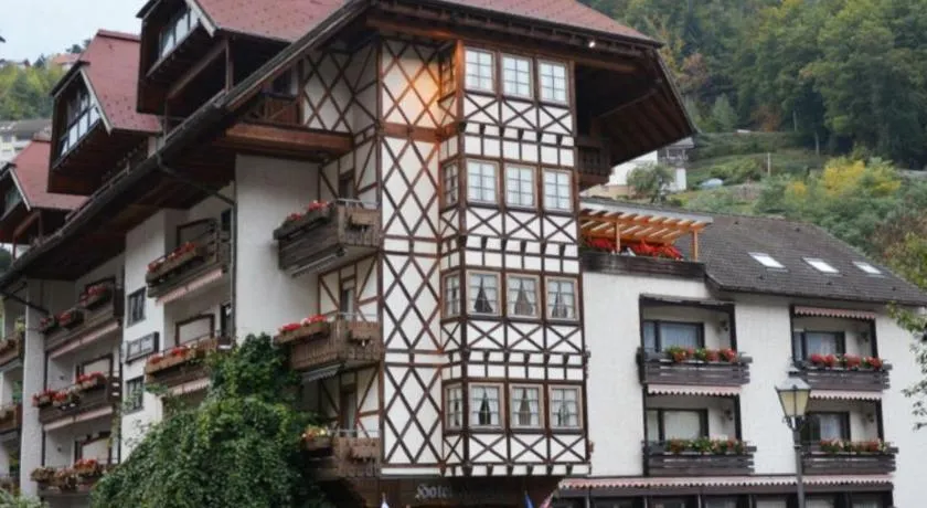 Hotel Hirsch - Image 1