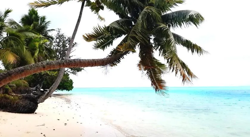 CHEZ VAIANA - Image 1