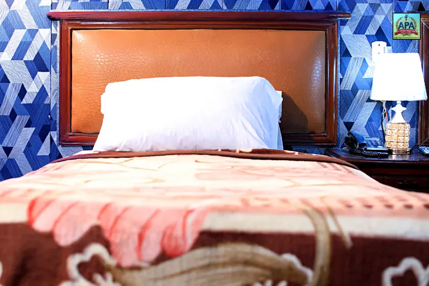 Hotel Tulip INN Faisal Town - Image 1