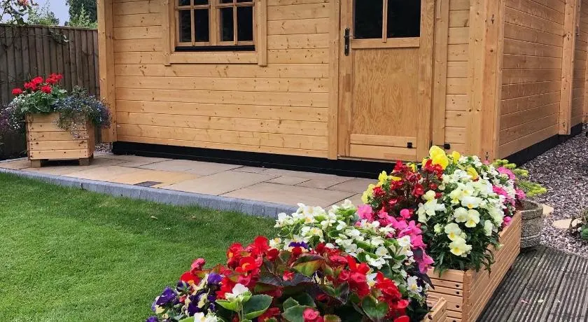 Cosy Log Cabin - The Dookit - Fife - Image 1