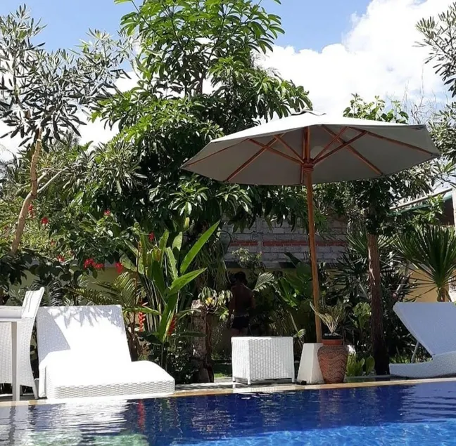 Villa Vrindavan cozy villa with swimming pool - Image 1