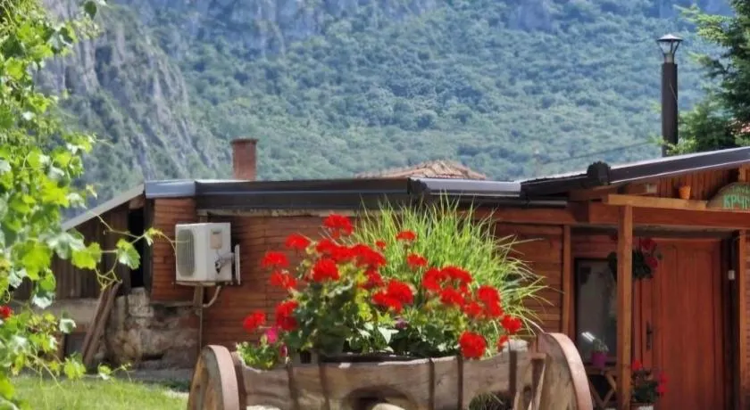 Ramonda Serbica - Gorge View & Peacful Nature Retreat - Image 1