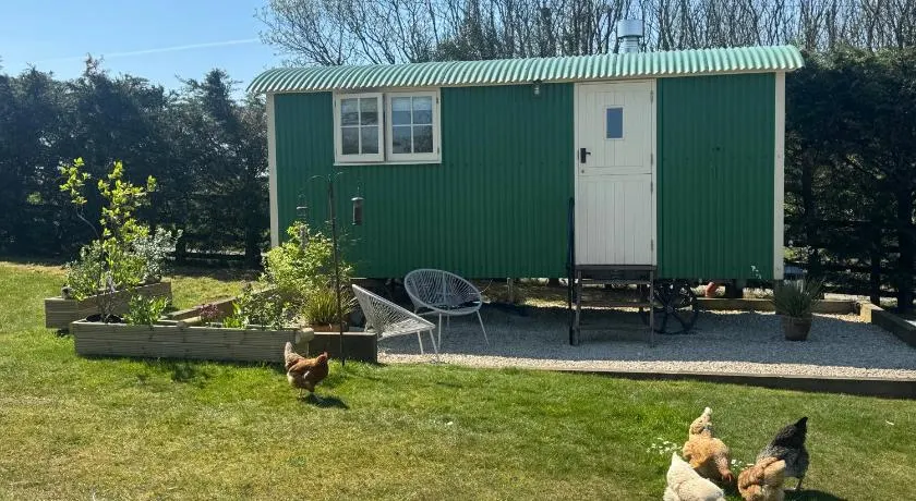 Toms Hut and Robins Rest Shepherd Huts near Wadebridge - Image 1