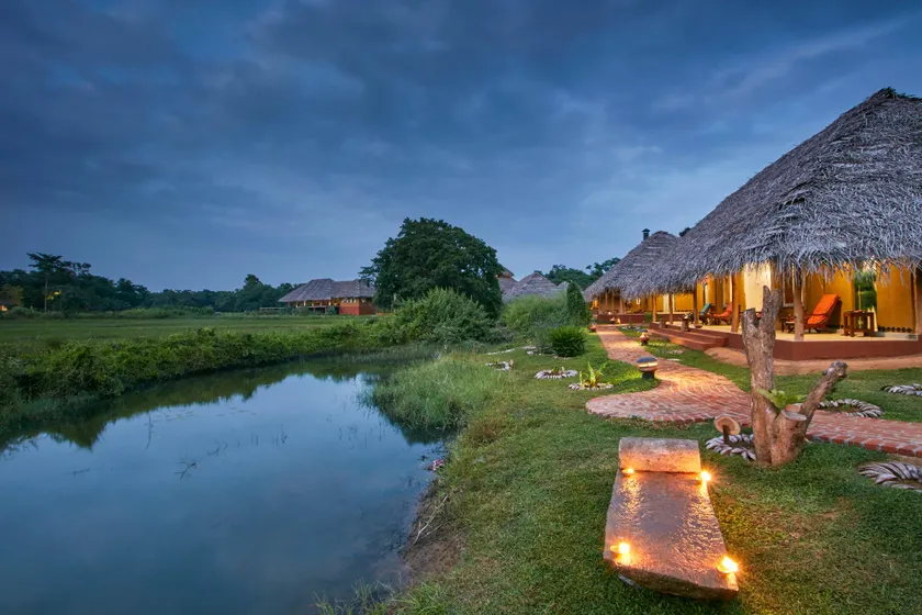 Amuna Ayurveda and Wellness Retreat - Image 1