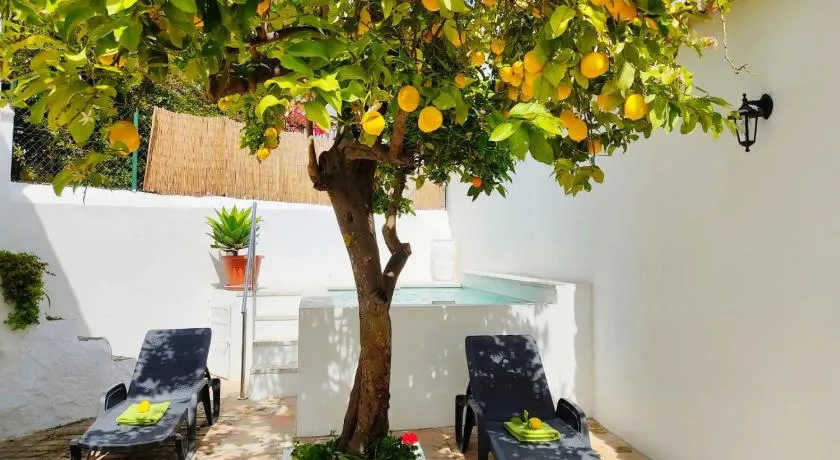 Casa el Patio del Limón, con piscina - Image 1