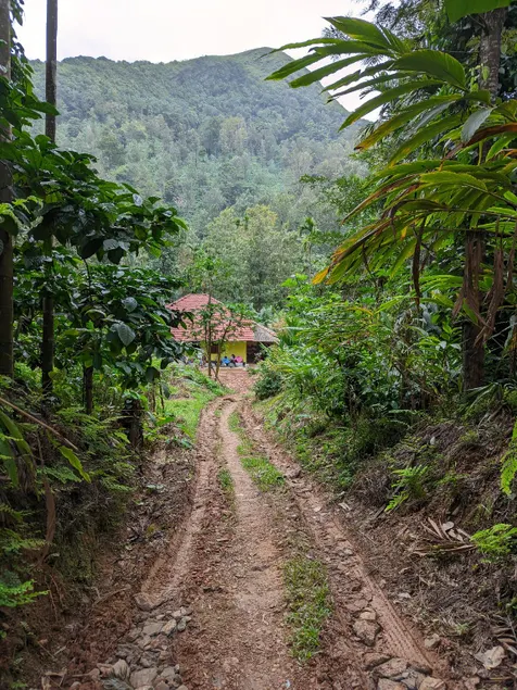 green heaven homestay Horanadu - Image 1