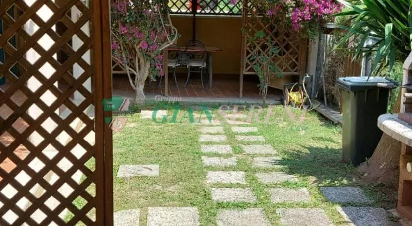 Bouganville - Image 1