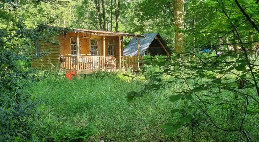 The Shack in the Woods- Off Grid - Image 1