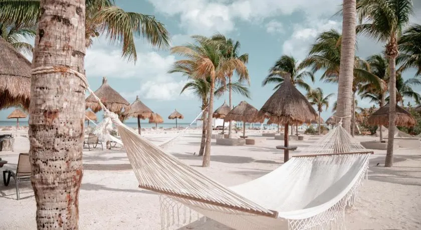 Blue Holbox - Image 1