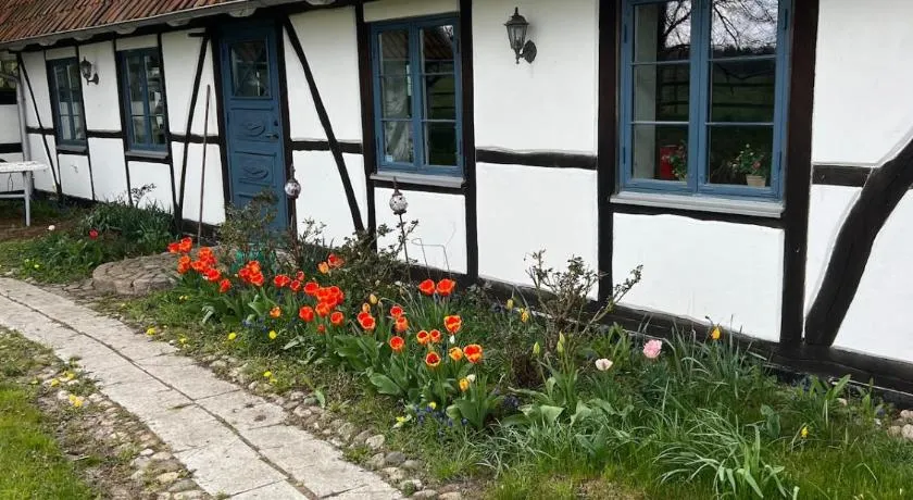 Half-timbered house in Österlen - Image 1