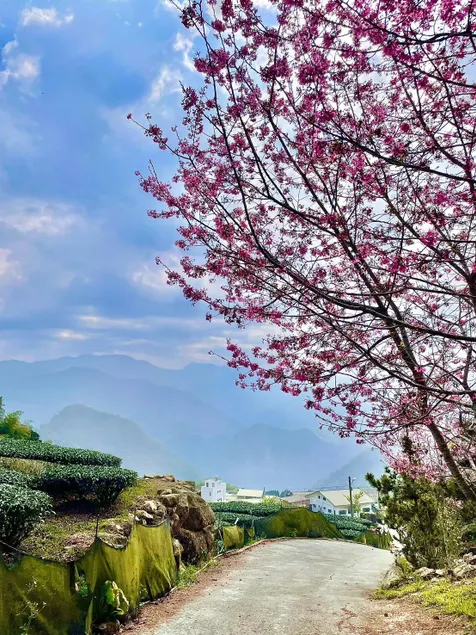 Firstsun Homestay(初旭民宿) - Image 1
