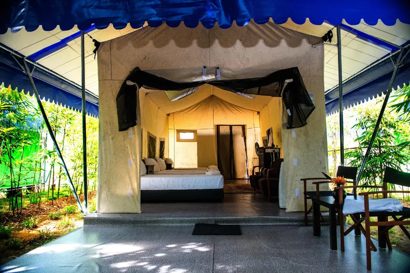 Orchard Go- Daddy Nature Safari Glamping Melaka - Image 1