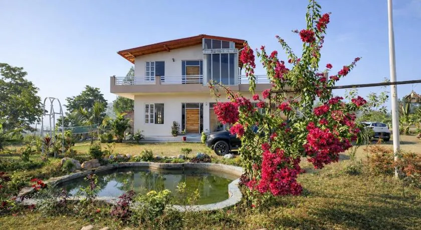 Hibiscus - Image 1