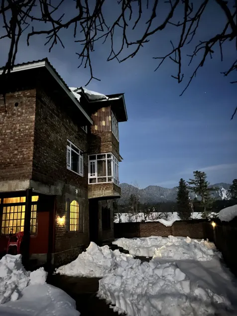 The Himalayan Nest - Image 1