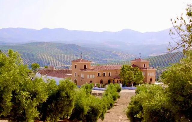 La Almedina: Palacio de Foronda - Image 1