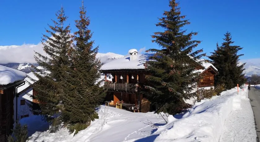 grosses Ferienhaus mit Sauna im Skigeb. Obersaxen - Image 1
