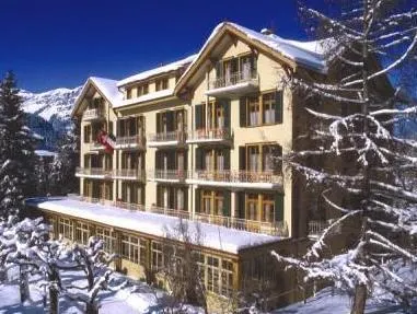 Historic Hotel Falken - Image 1