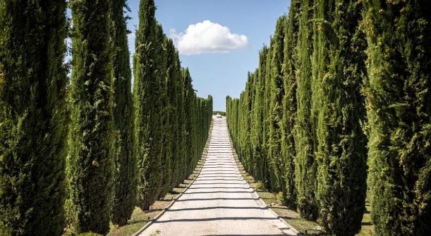 Fattoria Colsanto - Image 1