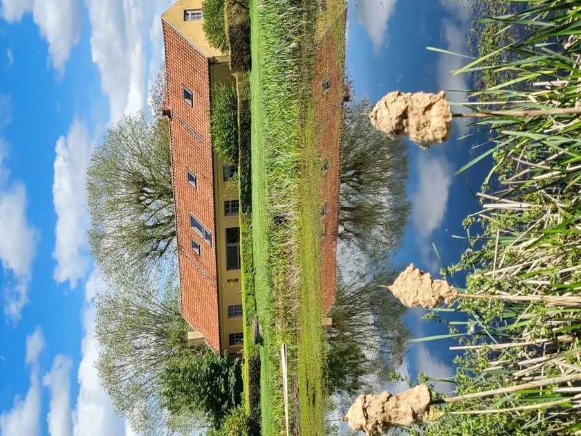 Sommerhus Het Zuidgoed med have - Image 1