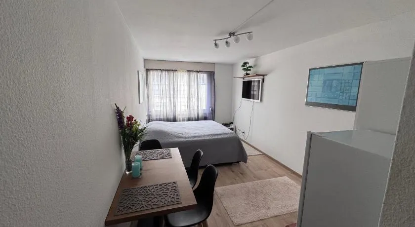 1-Zimmer Wohnung Marzili Bern - Image 1