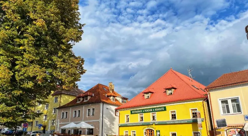 Pension U Kohoutů - Image 1