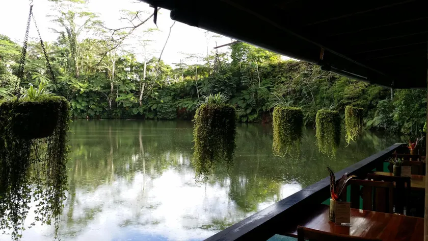 Rainforest Eco Lodge - Image 1