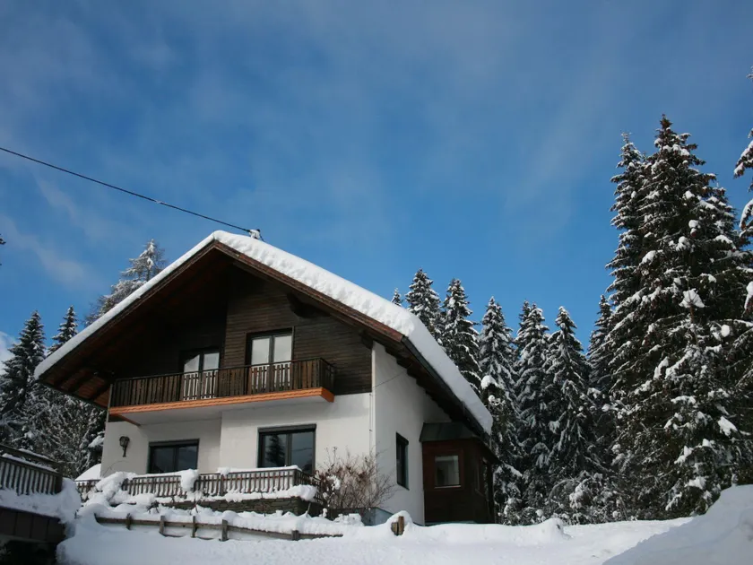 Detached holiday home in Carinthia near ski area and lakes - Image 1