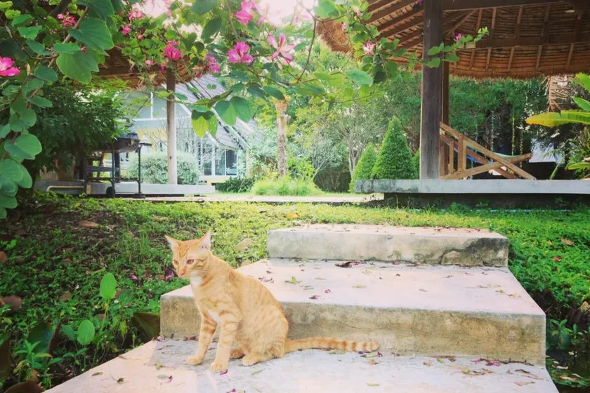 Ban Bang Home Resort - Image 1