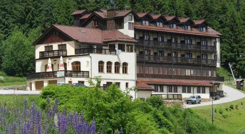 Hotel Zieleniec - Image 1