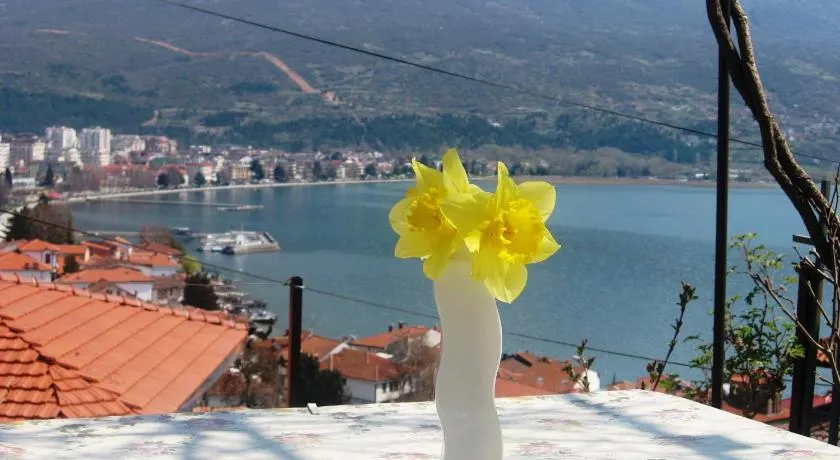 Apartments Villa Saray - Image 1