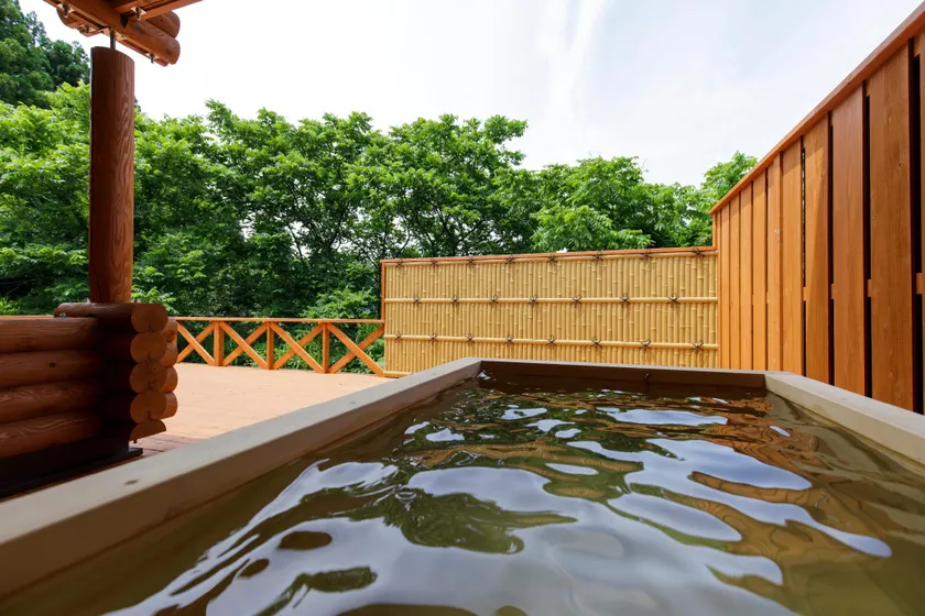 Natural Hot Spring with Log house - Image 1