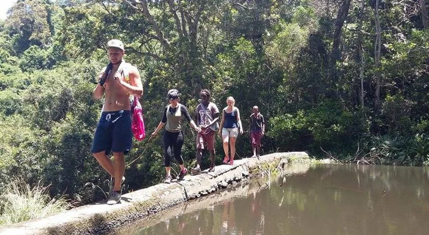 Jungle Monkey Backpackers - Image 1
