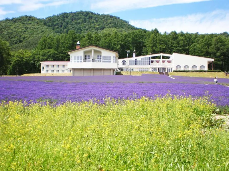 Highland Furano - Image 1