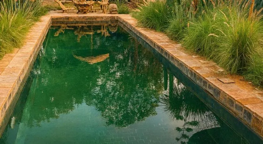 Riad chama - Image 1