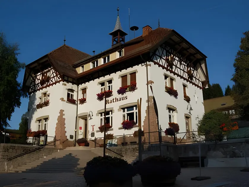 Landhotel und Apartments Sonneck - Image 1