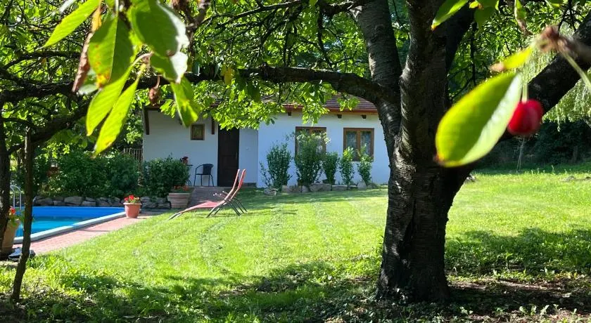 Búzavirág Apartman - Image 1
