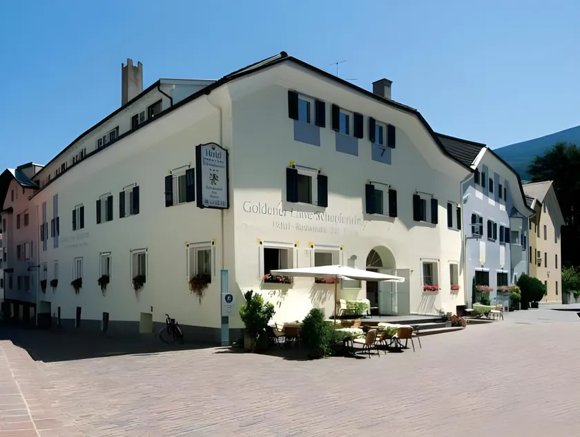 Goldener Löwe - Anno 1773 - Image 1