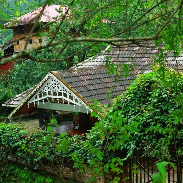 Misty bungalow - Image 1