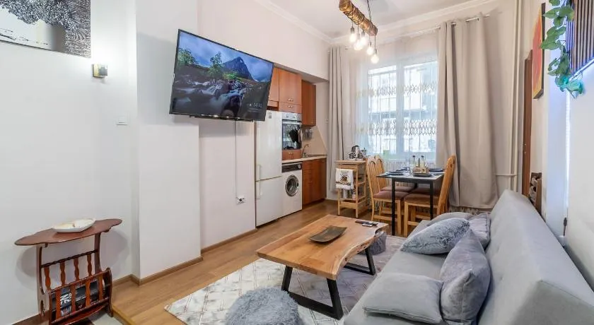 Two Homelike Apartments by NDK and Vitosha Blvd with 2 Free Parking Spots - Image 1