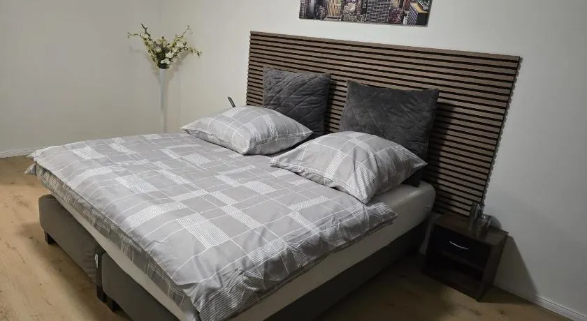 Apartment in Mannheim - Image 1