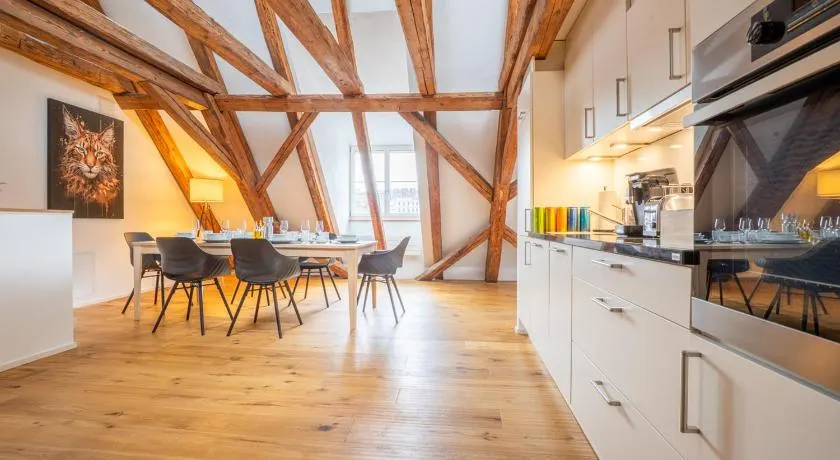 Spacious Apartment in Central Basel near Rhine - Special TOP LUX 42 Apartment, Basel, up to 6 guests - Image 1