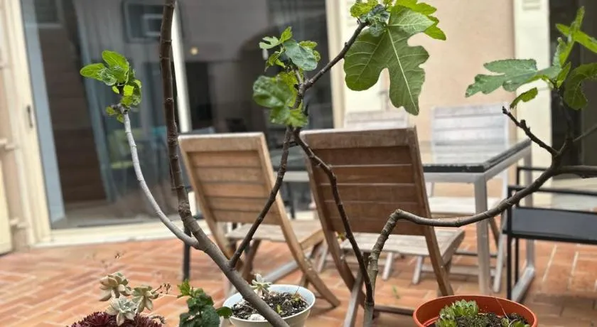 Maison 6 ch avec jacuzzi hyper centre Terrasse - Image 1