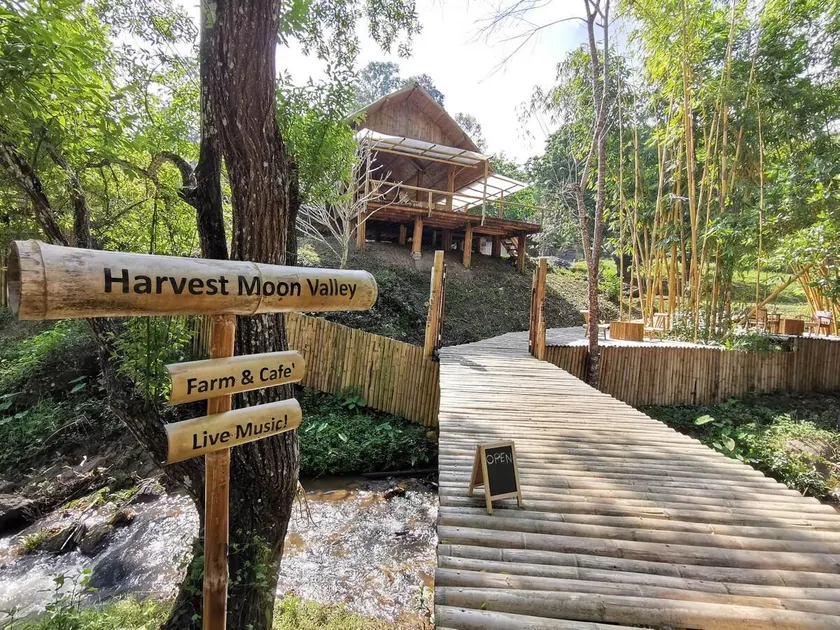 Harvest Moon Valley - Image 1