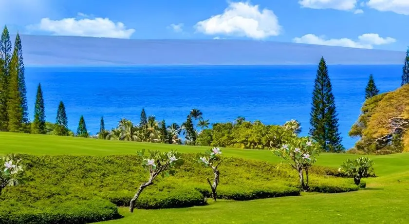 Kapalua Ridge Villas Ocean View 3 BR Sleeps 12 Complimentary Car with 6 Nights KRV ML-2516 by KBM - Image 1