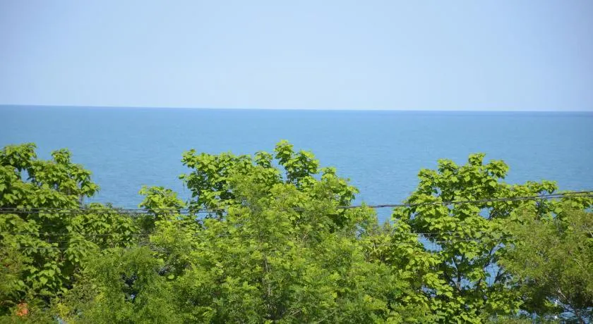 Razvan Holiday - Image 1