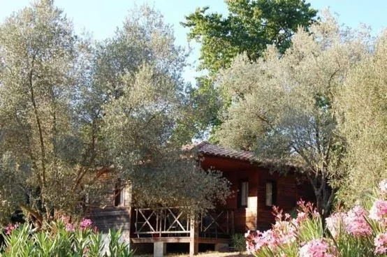 Gites Chalets de Grosseto-Prugna - Image 1