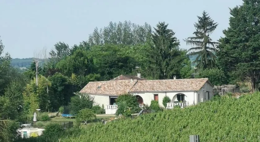 Aux vignes d’Arnaud - Image 1